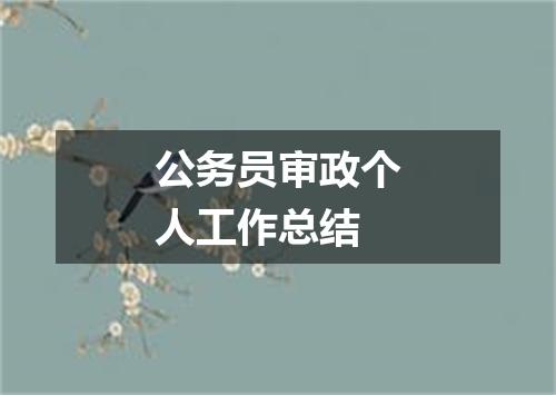 公务员审政个人工作总结