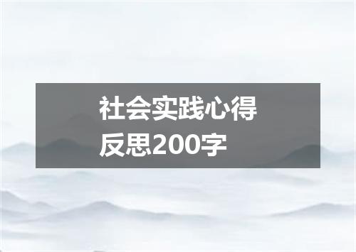 社会实践心得反思200字