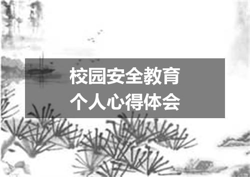 校园安全教育个人心得体会
