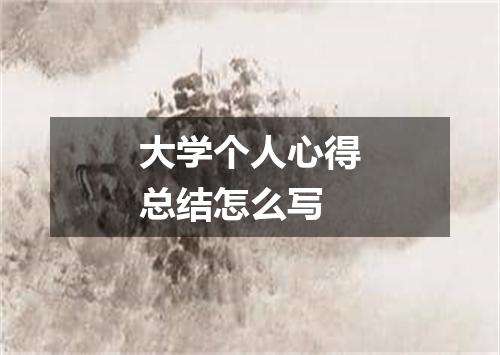 大学个人心得总结怎么写