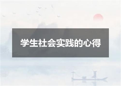 学生社会实践的心得