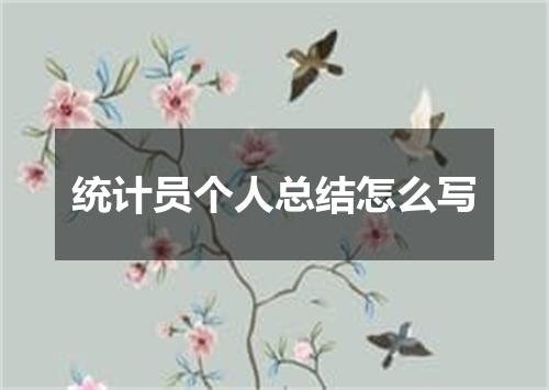 统计员个人总结怎么写