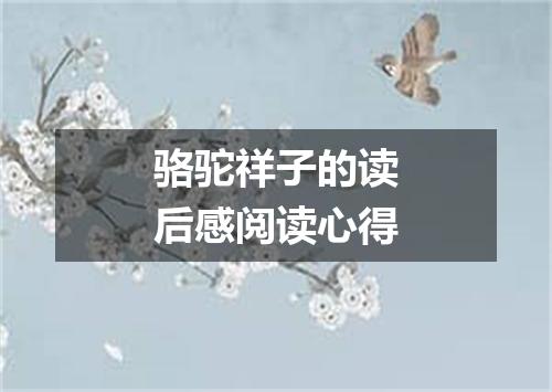 骆驼祥子的读后感阅读心得