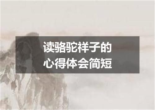 读骆驼祥子的心得体会简短