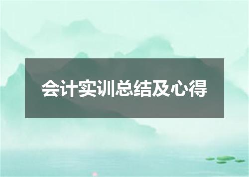 会计实训总结及心得