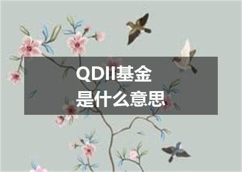 QDII基金是什么意思