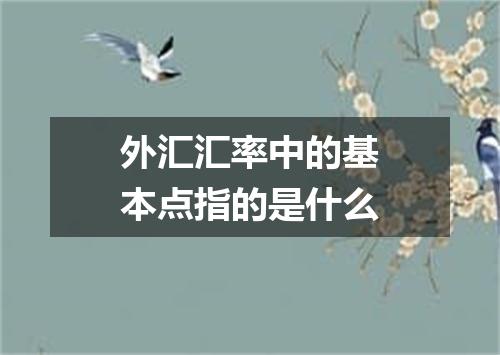 外汇汇率中的基本点指的是什么