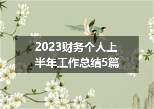 2023财务个人上半年工作总结5篇