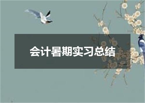 会计暑期实习总结