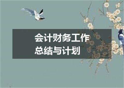 会计财务工作总结与计划