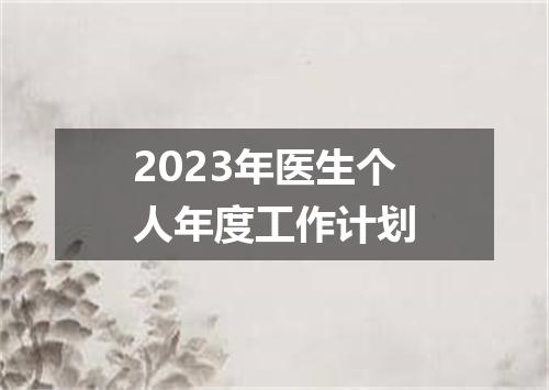 2023年医生个人年度工作计划