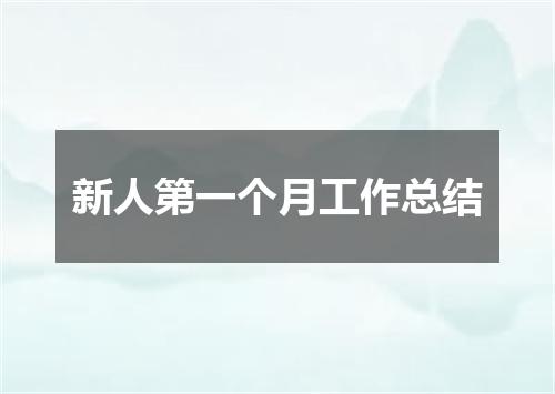 新人第一个月工作总结