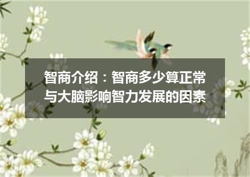 智商介绍:智商多少算正常与大脑影响智力发展的因素