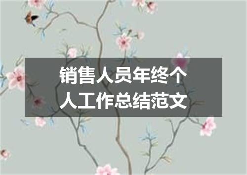 销售人员年终个人工作总结范文