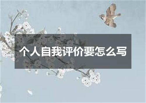 个人自我评价要怎么写
