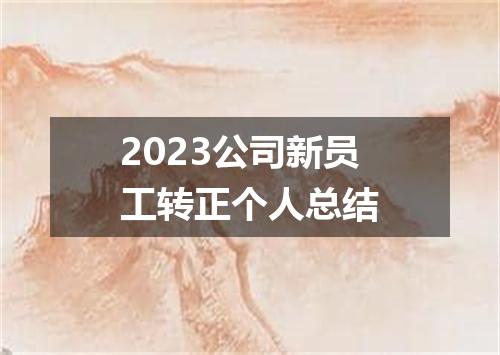 2023公司新员工转正个人总结
