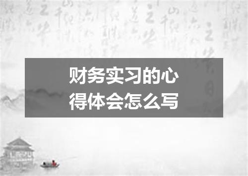 财务实习的心得体会怎么写