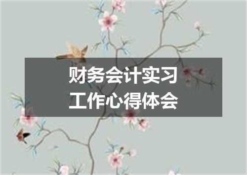 财务会计实习工作心得体会