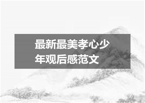 最新最美孝心少年观后感范文