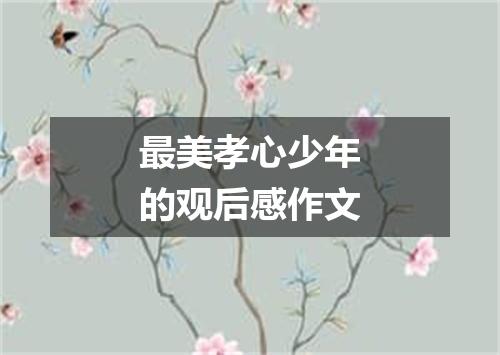 最美孝心少年的观后感作文