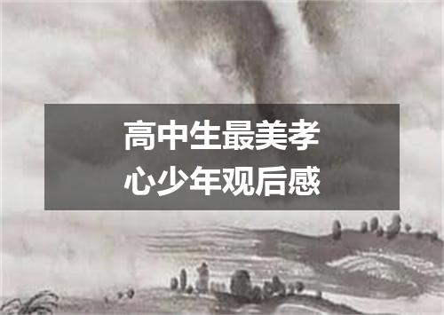 高中生最美孝心少年观后感