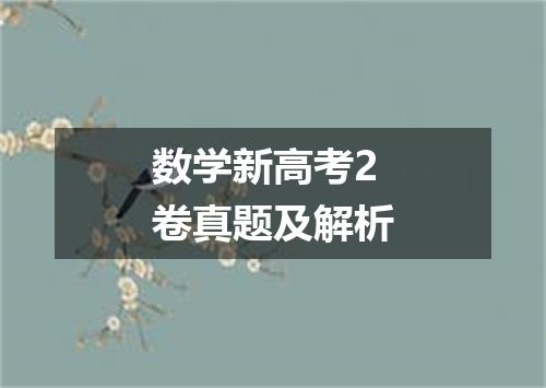 数学新高考2卷真题及解析