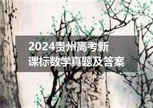 2024贵州高考新课标数学真题及答案