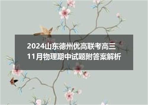 2024山东德州优高联考高三11月物理期中试题附答案解析