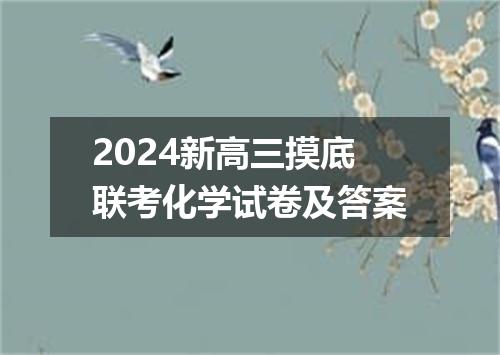 2024新高三摸底联考化学试卷及答案