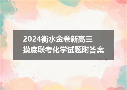 2024衡水金卷新高三摸底联考化学试题附答案