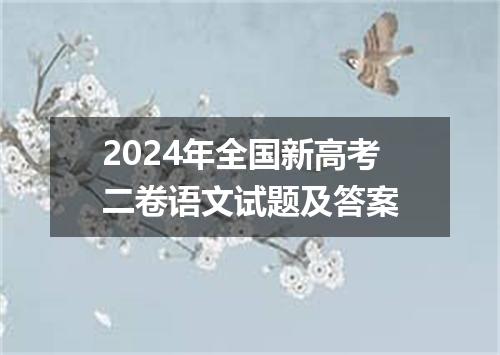 2024年全国新高考二卷语文试题及答案