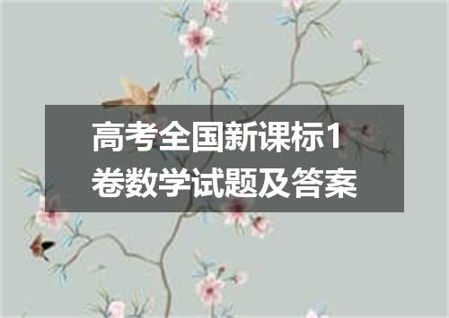 高考全国新课标1卷数学试题及答案