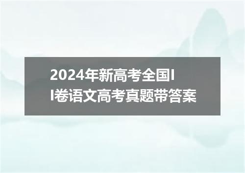 2024年新高考全国II卷语文高考真题带答案