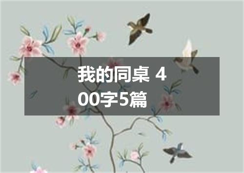 我的同桌 400字5篇
