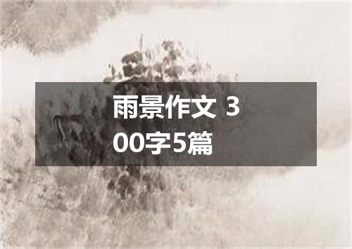 雨景作文 300字5篇