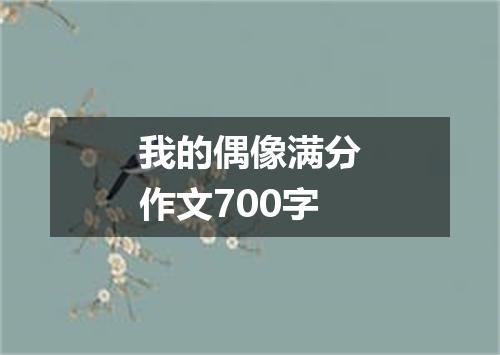 我的偶像满分作文700字