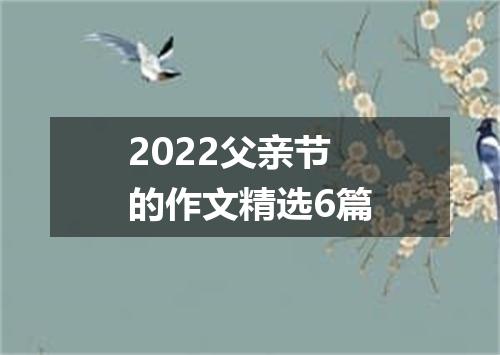 2022父亲节的作文精选6篇