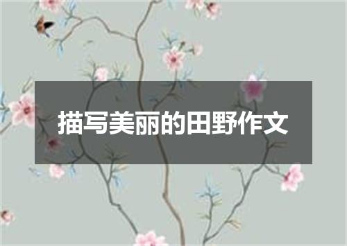 描写美丽的田野作文