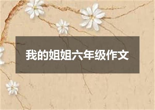 我的姐姐六年级作文