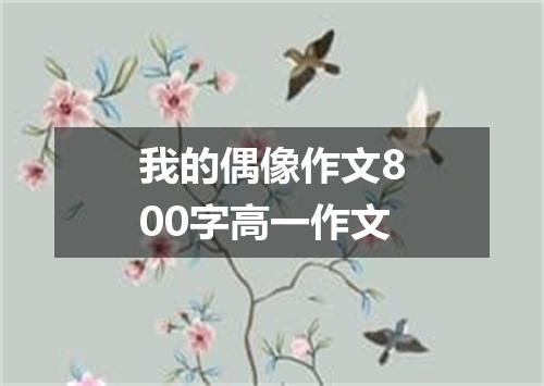 我的偶像作文800字高一作文