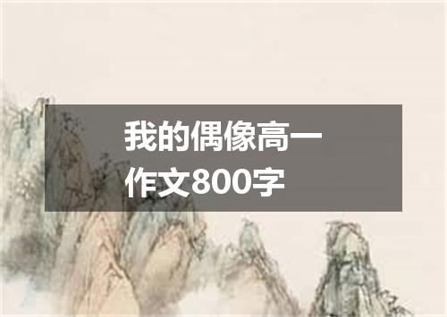 我的偶像高一作文800字