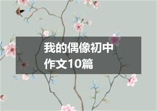 我的偶像初中作文10篇