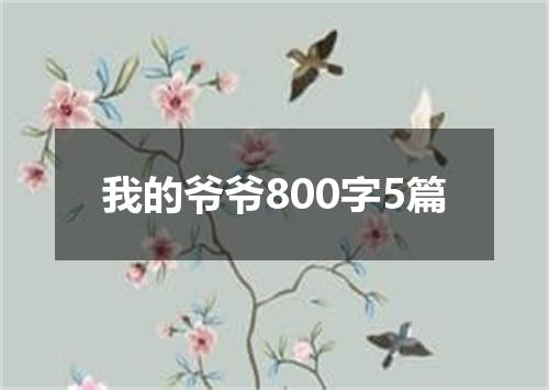 我的爷爷800字5篇