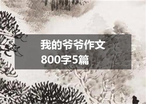 我的爷爷作文800字5篇