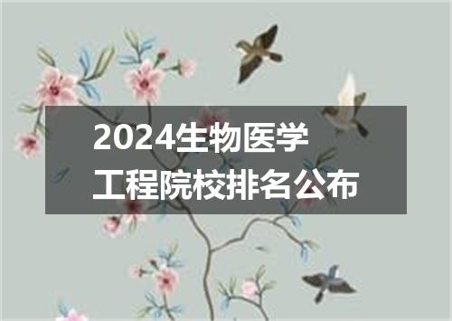 2024生物医学工程院校排名公布