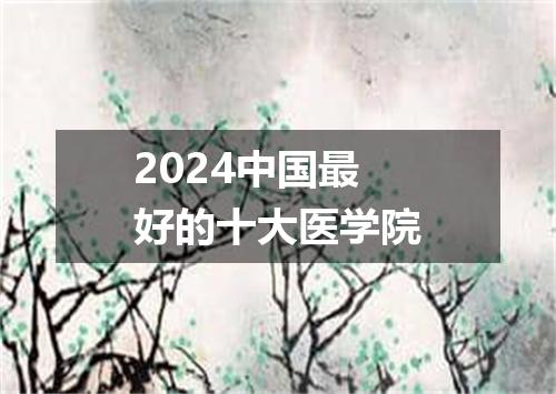 2024中国最好的十大医学院