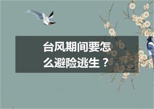 台风期间要怎么避险逃生？