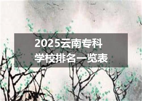 2025云南专科学校排名一览表
