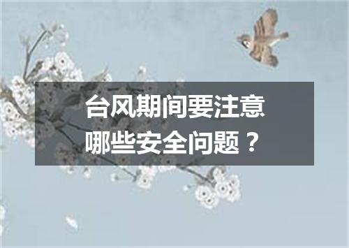 台风期间要注意哪些安全问题？