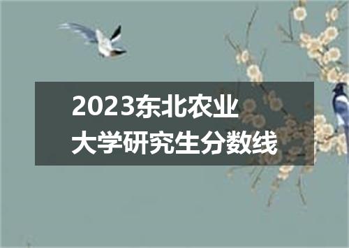 2023东北农业大学研究生分数线